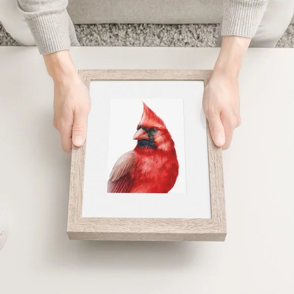 Cardinal Bird Watercolor Wall Art Print Poster Illustration Unframed - Picture 5 of 8